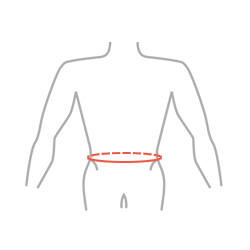 Waist circumference