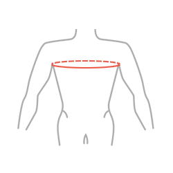 Chest circumference